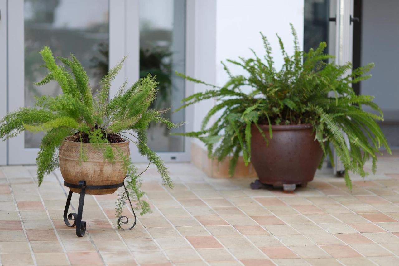 Sanlúcar de Barrameda Albariza Hotel Boutique מראה חיצוני תמונה