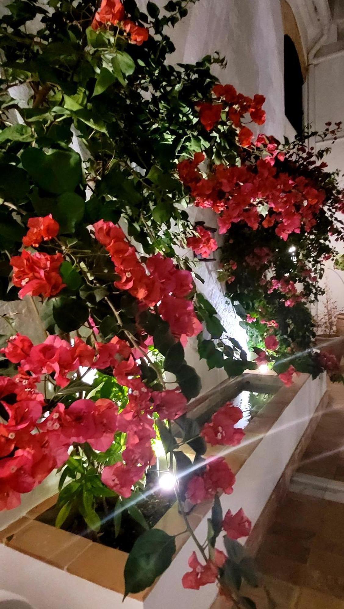 Sanlúcar de Barrameda Albariza Hotel Boutique מראה חיצוני תמונה